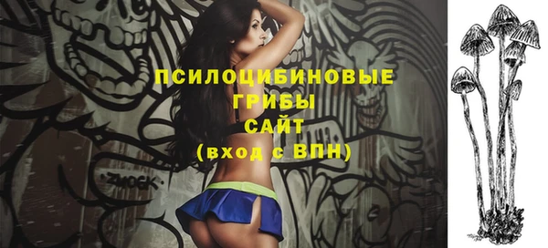 винт Алзамай