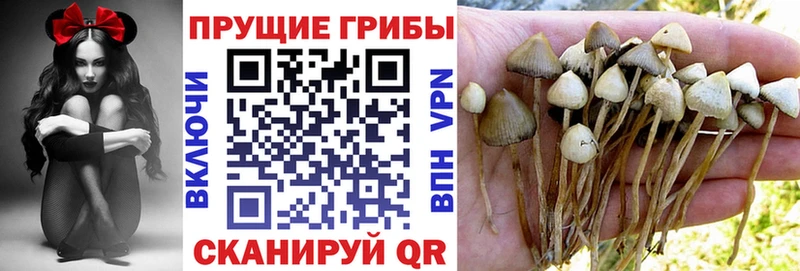 Псилоцибиновые грибы Magic Shrooms  купить закладку  Бежецк 