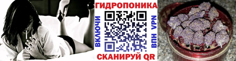 Бошки Шишки конопля  Бежецк 